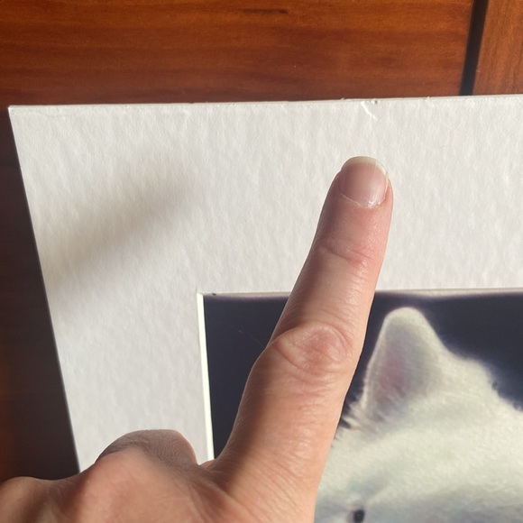 Samoyed Giclée Matted Print Mat White Dog Breed Fine Art of Watercolor Painting - Picture 8 of 9